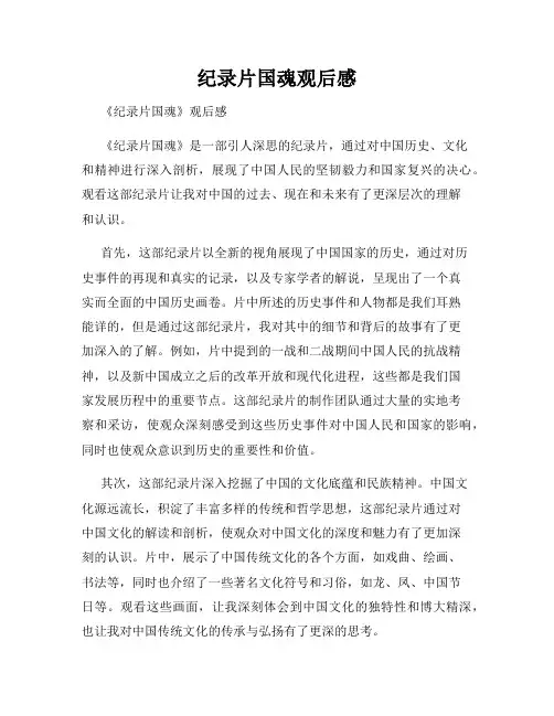 纪录片国魂观后感