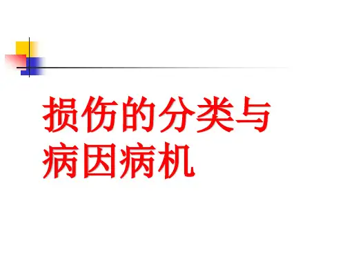 损伤的分类与病因病机(骨伤科学课件)