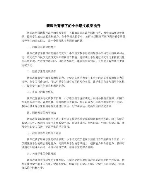 新课改背景下的小学语文教学提升