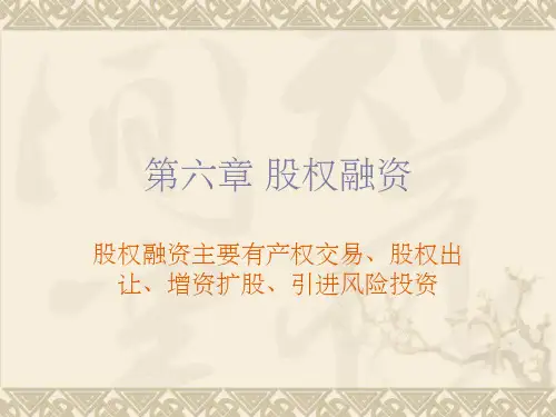 《股权融资》PPT课件