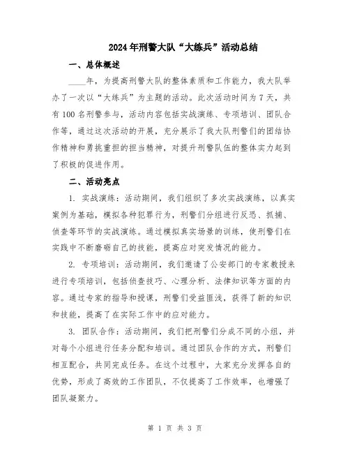 2024年刑警大队“大练兵”活动总结