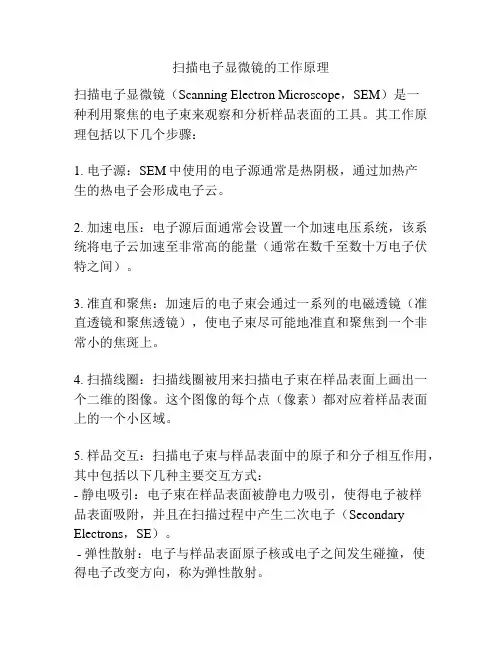 扫描电子显微镜的工作原理