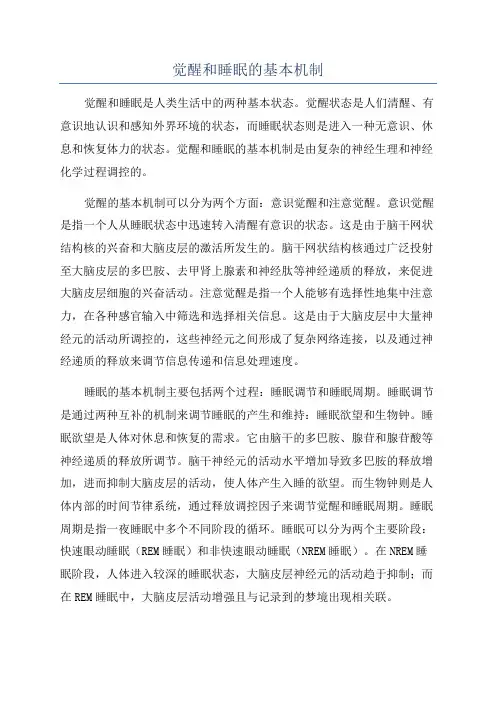 觉醒和睡眠的基本机制