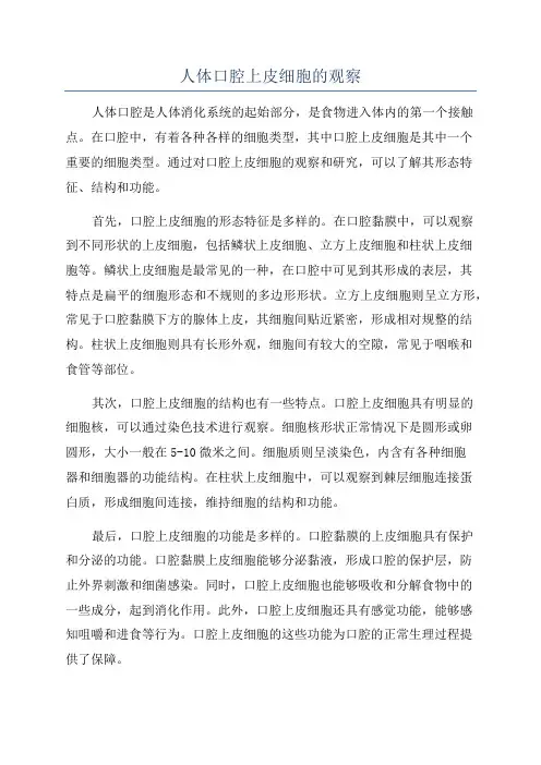 人体口腔上皮细胞的观察