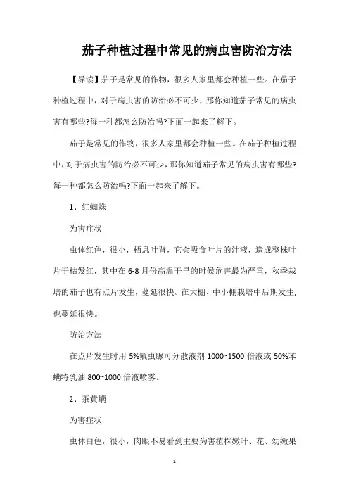 茄子种植过程中常见的病虫害防治方法