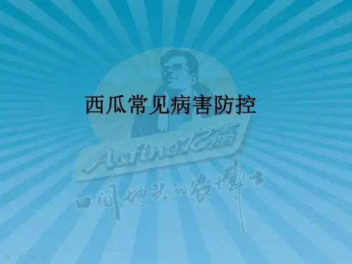 西瓜常见病害防控PPT课件【新版】