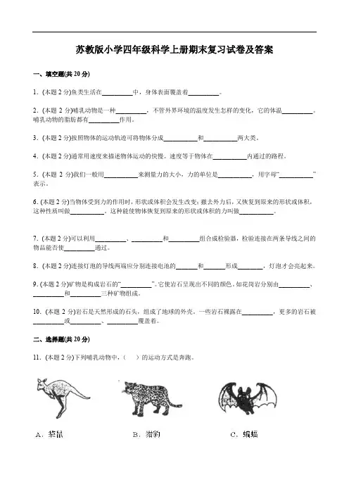 苏教版小学四年级科学上册期末复习试卷及答案