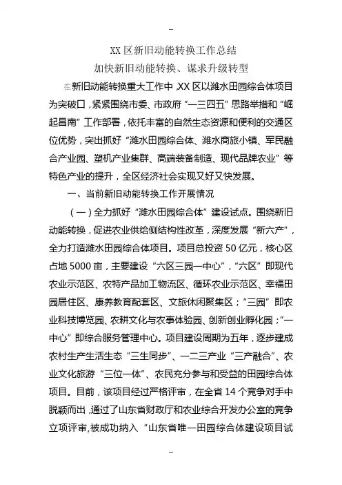 XX区新旧动能转换情况总结