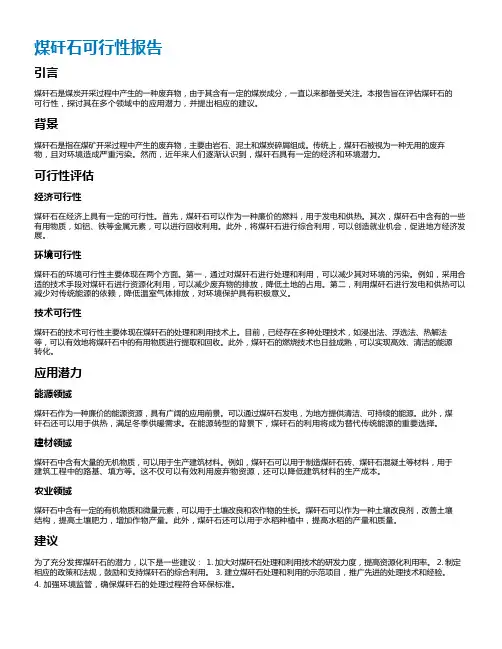 煤矸石可行性报告