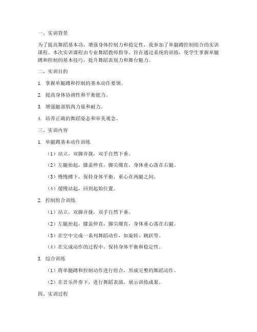 单腿蹲控制组合实训报告