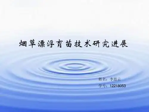烟草漂浮育苗