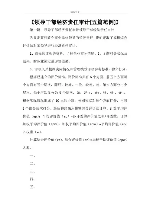 《领导干部经济责任审计[五篇范例]》