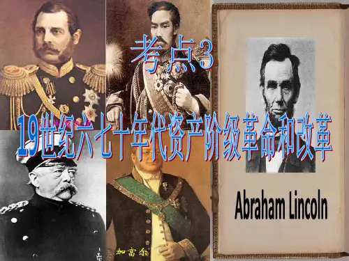 19世纪六七十年代资产阶级革命和改革
