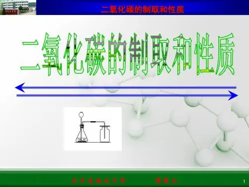 二氧化碳的制取和性质-说课课件 (1)