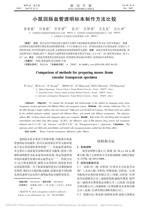 小鼠回肠血管透明标本制作方法比较