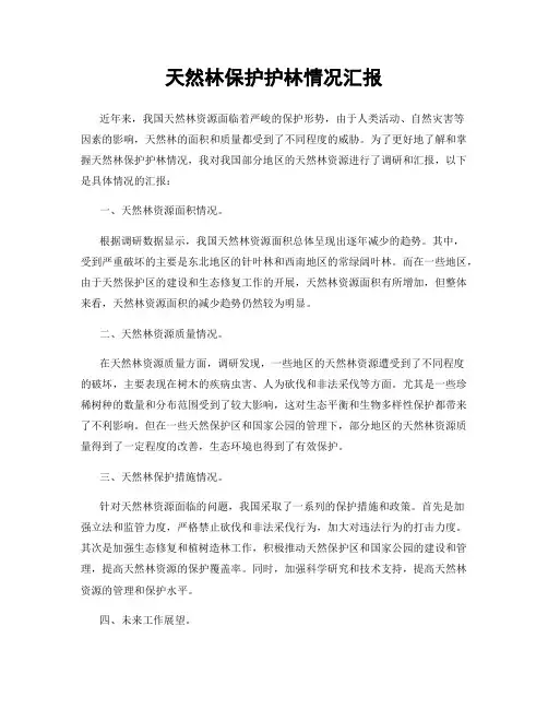 天然林保护护林情况汇报