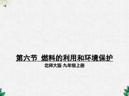 北师大版九年级上册物理课件：10.6 燃料的利用和环境保护