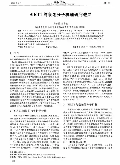 SIRT1与衰老分子机理研究进展