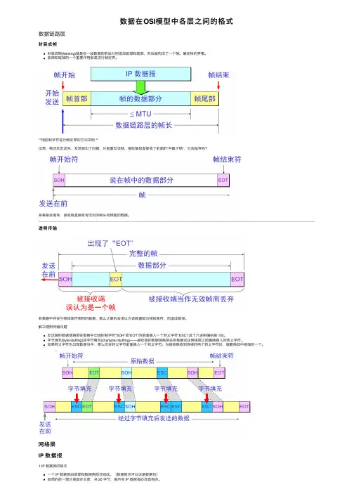 数据在OSI模型中各层之间的格式