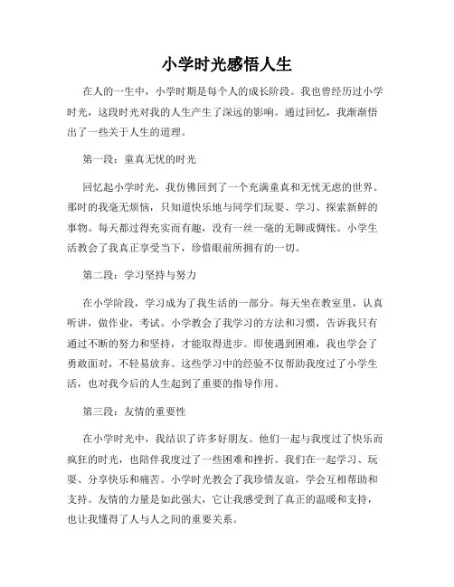 小学时光感悟人生