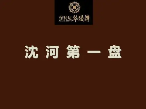 20130129_沈阳_保利达翠堤湾_项目推介