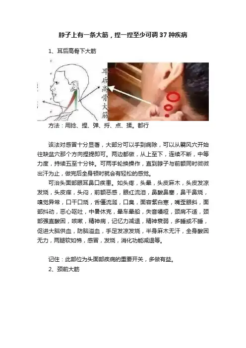 脖子上有一条大筋，捏一捏至少可调37种疾病