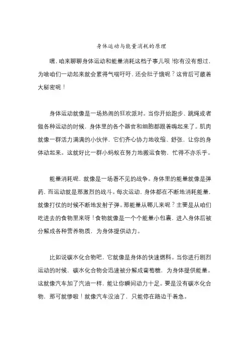 身体运动与能量消耗的原理