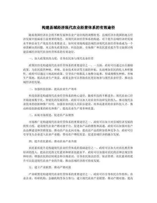 构建县域经济现代农业经营体系的有效途径