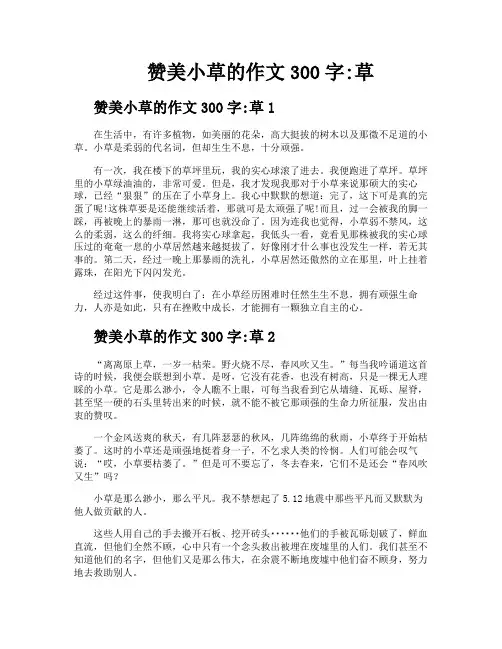 赞美小草的作文300字草