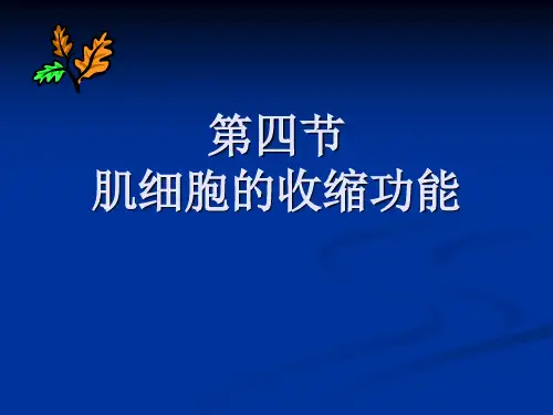 医学-神经肌肉接头处兴奋传递
