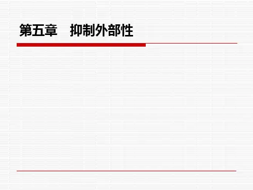 第五章  抑制外部性  《政府经济学》PPT课件