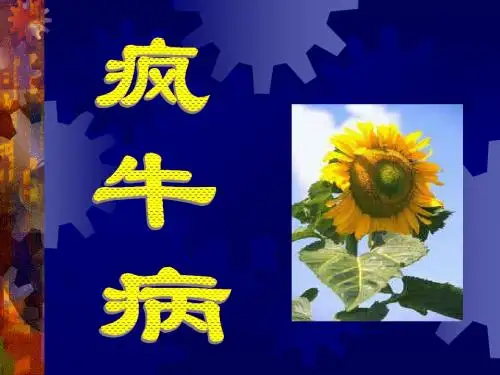 疯牛病
