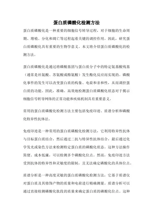 蛋白质磷酸化检测方法
