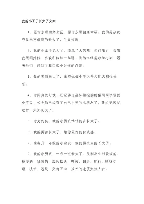 我的小王子长大了文案