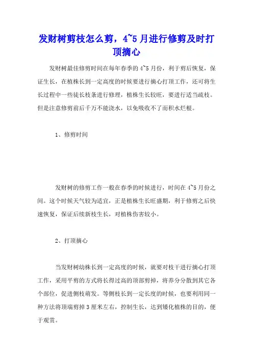 发财树剪枝怎么剪,4~5月进行修剪及时打顶摘心