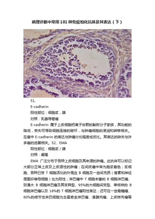 病理诊断中常用101种免疫组化抗体及其表达（下）