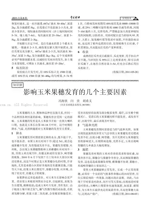 影响玉米果穗发育的几个主要因素