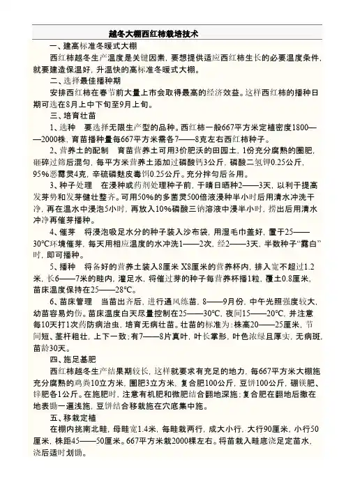 越冬大棚西红柿栽培技术