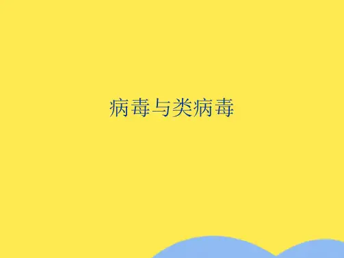病毒与类病毒(共78张PPT)