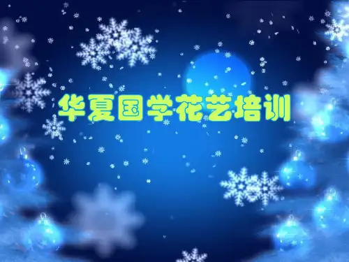 插花基础--6.西方式插花