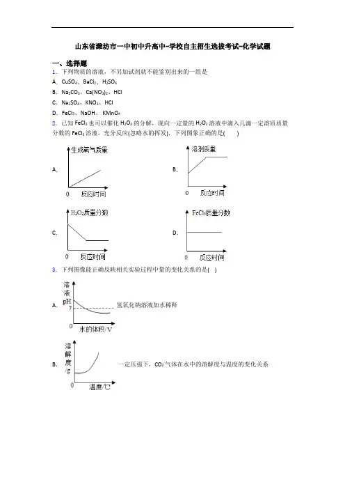 山东省潍坊市一中初中升高中-学校自主招生选拔考试-化学试题