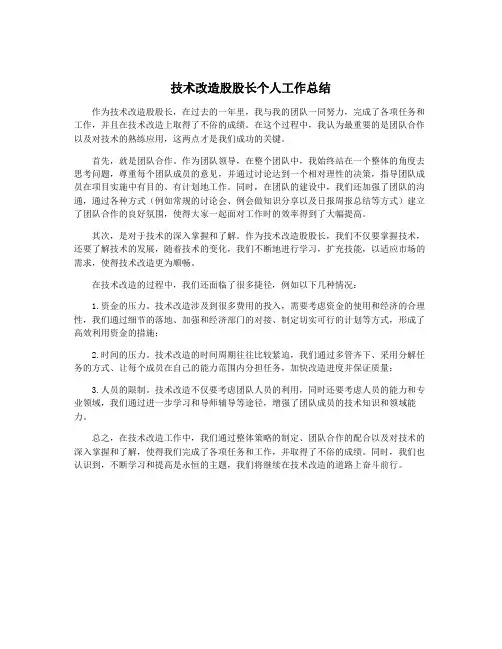 技术改造股股长个人工作总结