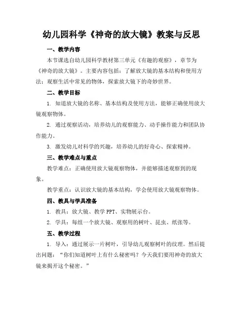 幼儿园科学《神奇的放大镜》教案与反思