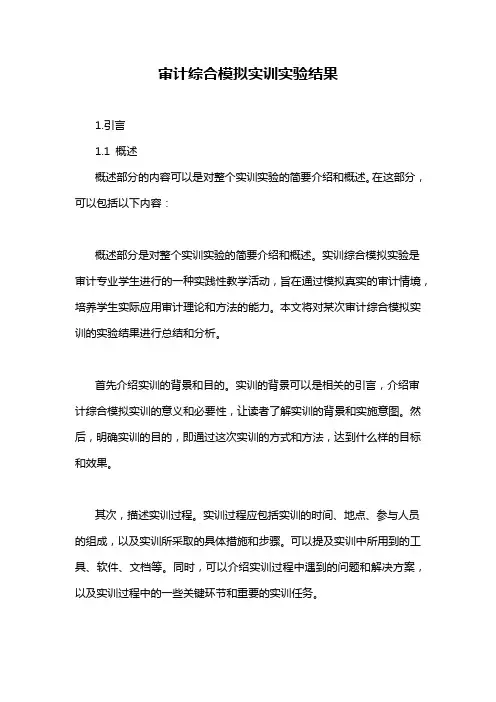 审计综合模拟实训实验结果