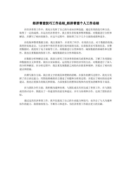 经济普查技巧工作总结_经济普查个人工作总结