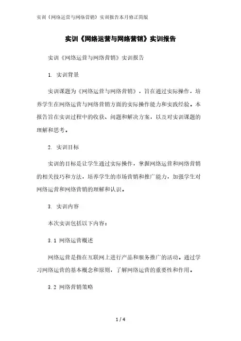 实训《网络运营与网络营销》实训报告简版范文