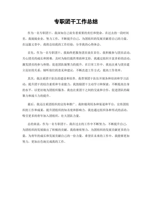 专职团干工作总结
