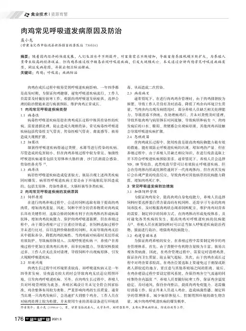 肉鸡常见呼吸道发病原因及防治