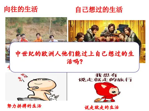 人教版必修中外历史纲要下第八课欧洲的思想解放运动ppt1