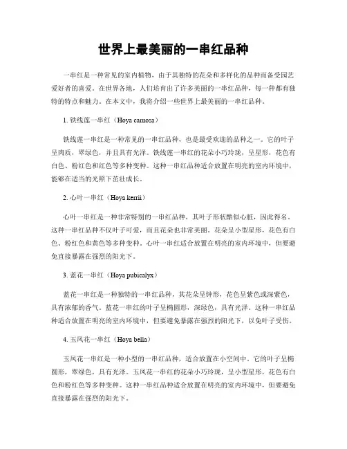 世界上最美丽的一串红品种